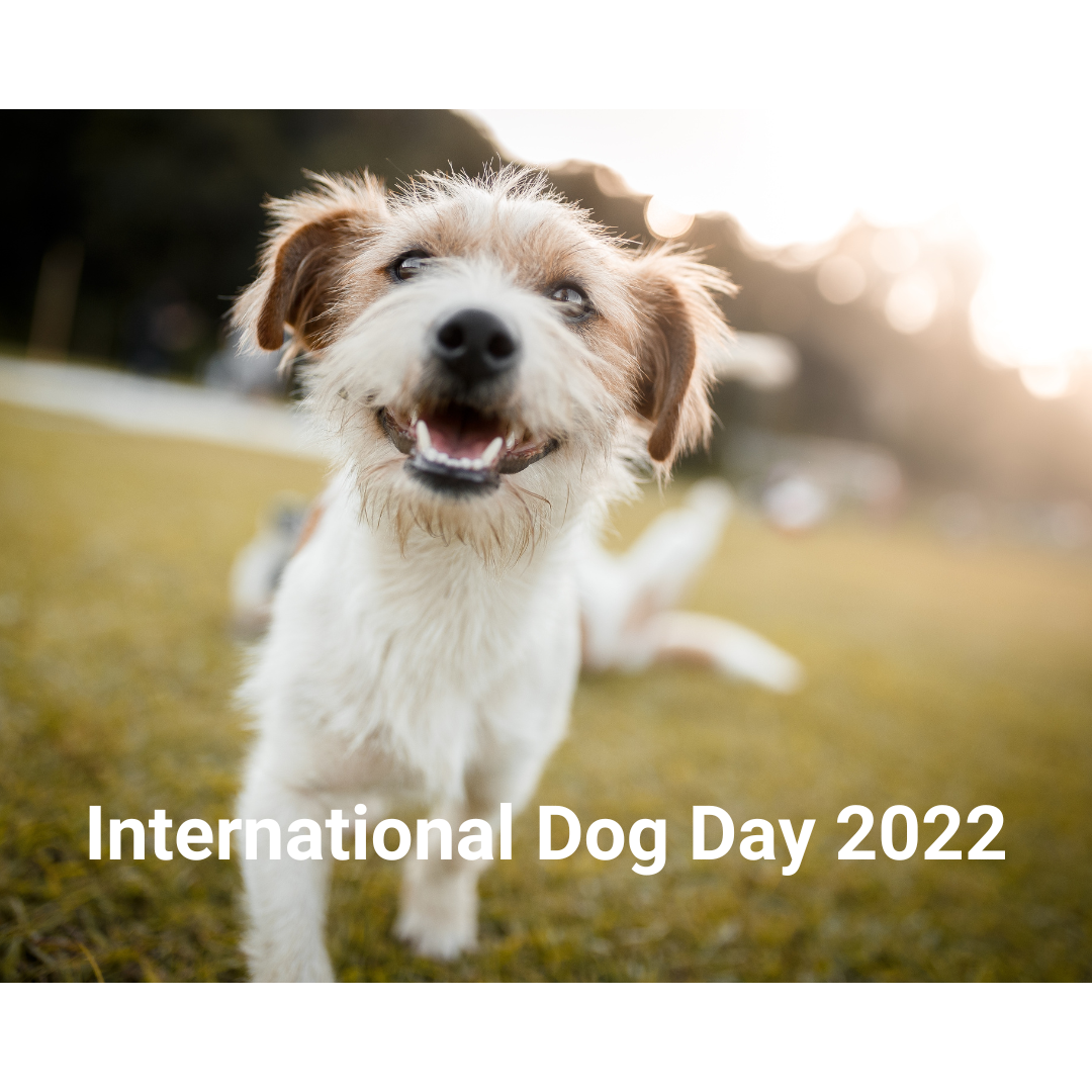 August 26 is International Dog Day: Celebrate it with your Furbaby