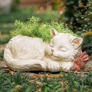 A charming resin planter creatively designed in the shape of a little white cat, adding a whimsical touch to your indoor or outdoor plant display.