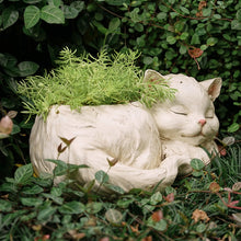 A charming resin planter creatively designed in the shape of a little white cat, adding a whimsical touch to your indoor or outdoor plant display.