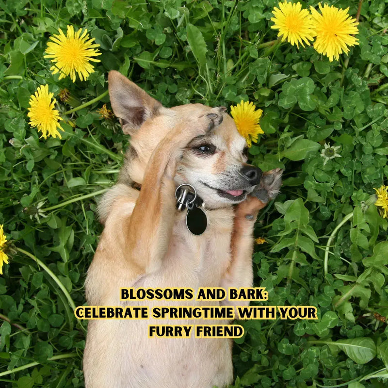 Blossoms and Bark: Celebrate Springtime with Your Furry Friend - daisys-choice-homeware