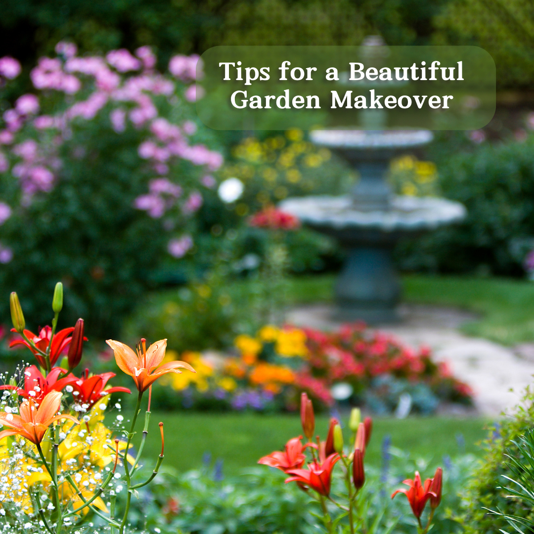 Tips for a Beautiful Garden Makeover