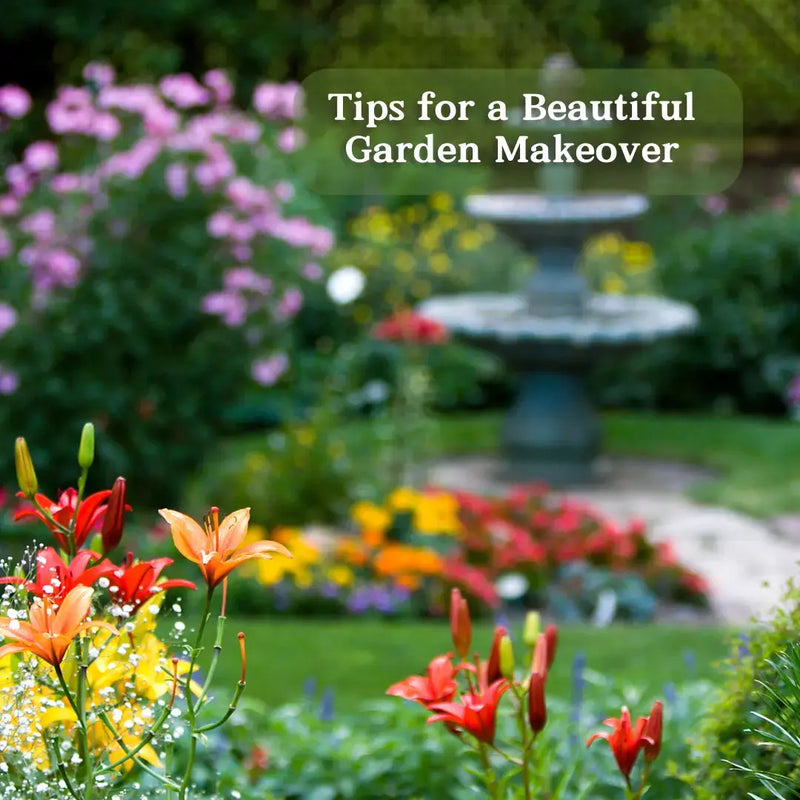 Tips for a Beautiful Garden Makeover - daisys-choice-homeware