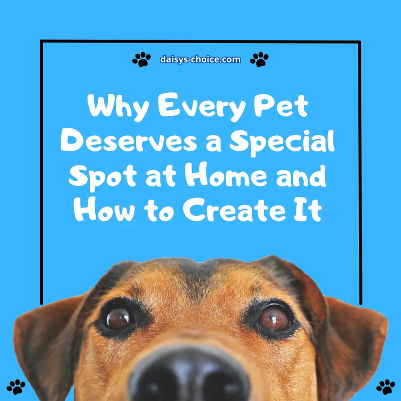 Why Every Pet Deserves a Special Spot At Home And How to Create It - daisys-choice-homeware
