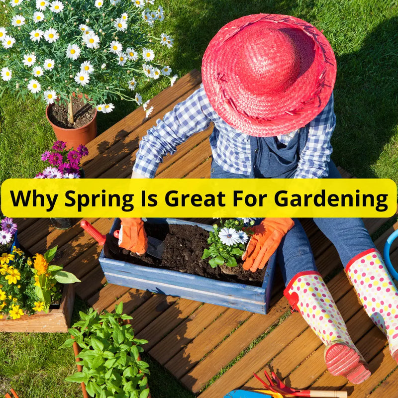 Why Spring Is Great For Gardening - daisys-choice-homeware