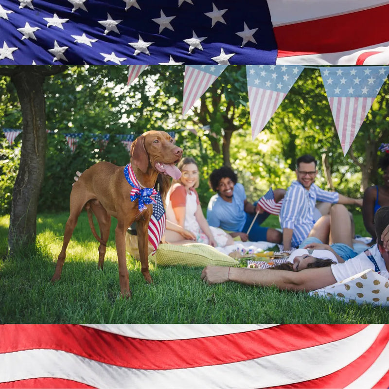 How To Celebrate Fourth Of July With Friends And Family Without Breaking the Bank - daisys-choice-homeware