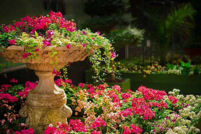 Garden Makeover Ideas to Refresh Your Outdoor Space - daisys-choice-homeware