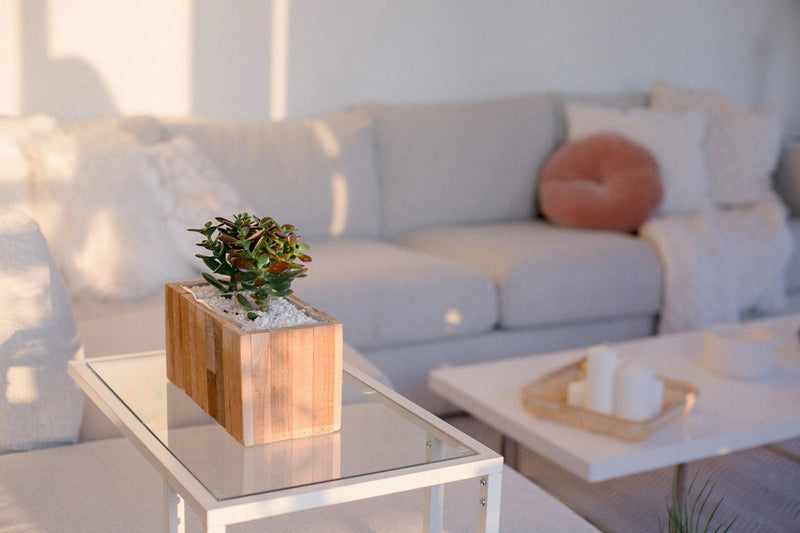 Easy Living Room Makeover - daisys-choice-homeware