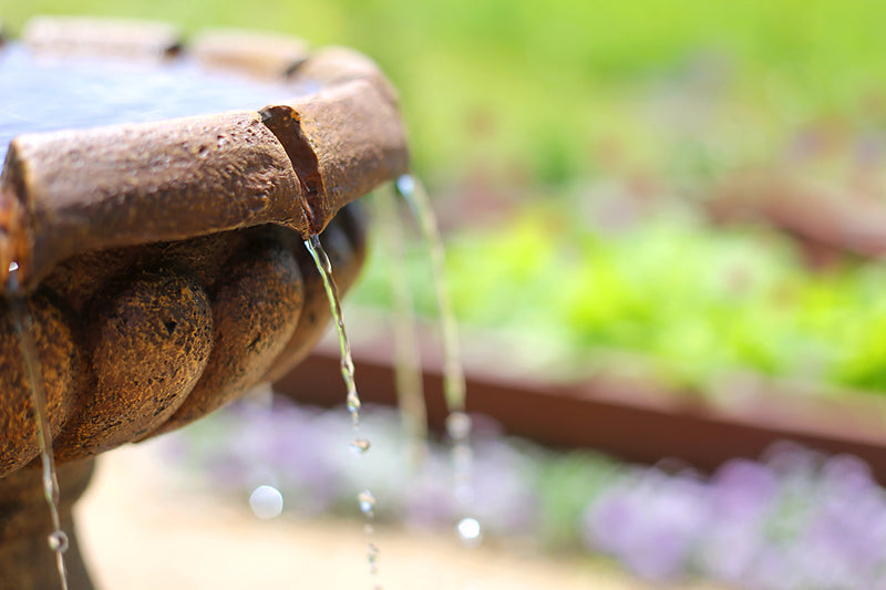 How A Fountain Can Transform Your Garden