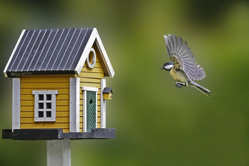 14 Great Bird House Ideas To keep Your Garden Animal Friendly