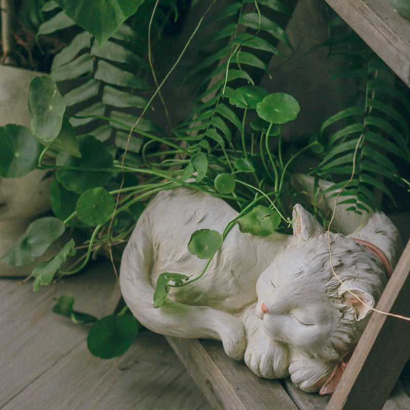 A charming resin planter creatively designed in the shape of a little white cat, adding a whimsical touch to your indoor or outdoor plant display.