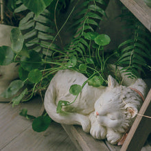 Little White Cat Creative Resin Planter